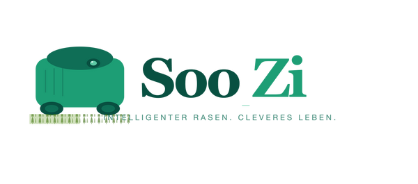 SooZi